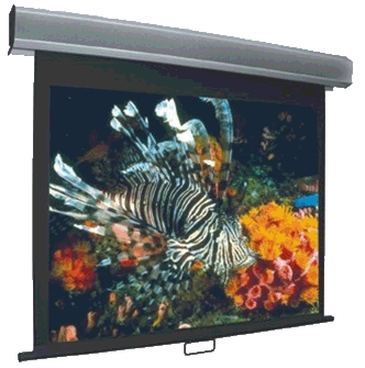 Vutec Econo Pro Manual Wall Front Projection Screen 75-Inch 4:3 Format Online Hot Sale