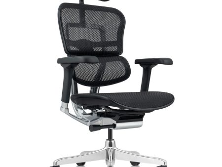 Ergohuman G2 Ergonomic Chair For Sale