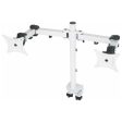 2x LCD Monitor arm Black (10kg Tilt, Swivel, Rotate) Online now